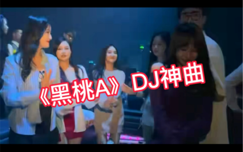 酒吧高质量DJ舞曲!美女激情火辣劲爆,超燃现场燃爆激情!哔哩哔哩bilibili