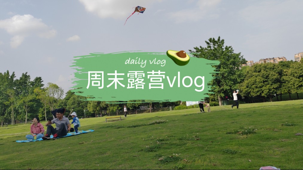 [图]成都双流中心公园周末露营vlog-放风筝失败的一天