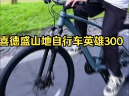 Tải video: 24款英雄300我先替你们试骑一下了