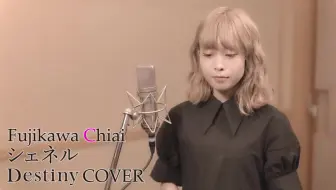 藤川千爱 Destiny Cover シェネル 哔哩哔哩 Bilibili
