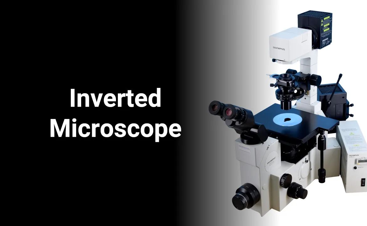 [界面化学]inverted microscope