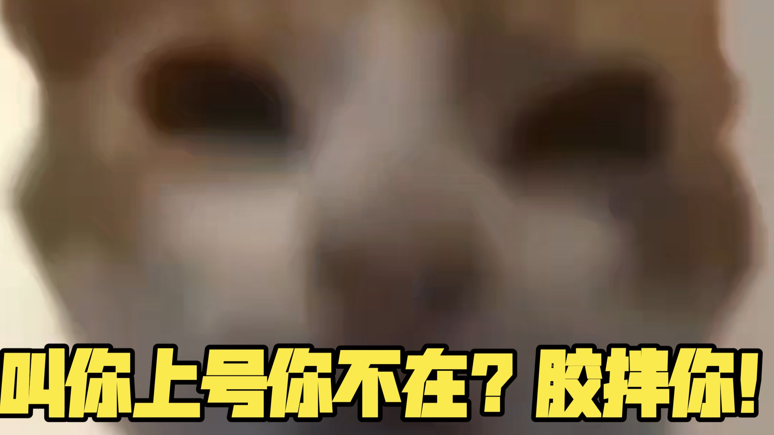 叫 你 上 号 人 不 在 ?狠 狠 搅 拌 你 !》日语整活版-绮礼Kirihara-绮礼Kirihara-哔哩哔哩视频