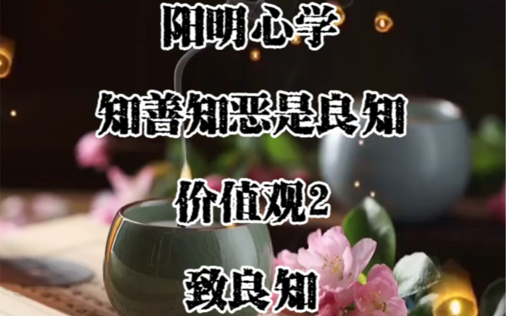 阳明心学 知善知恶是良知价值观2致良知哔哩哔哩bilibili