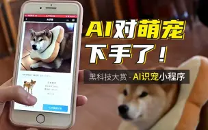 Tải video: AI宠物识别黑科技→拍照就能辨认宠物品种和身份小程序