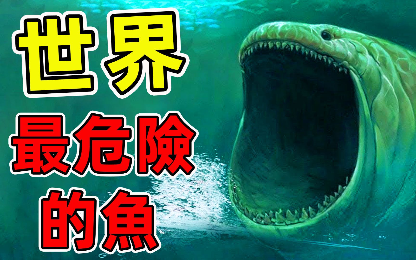 [图]全世界10种最危险的鱼，食人鱼只能排第6，第一名是所有男人的噩梦。