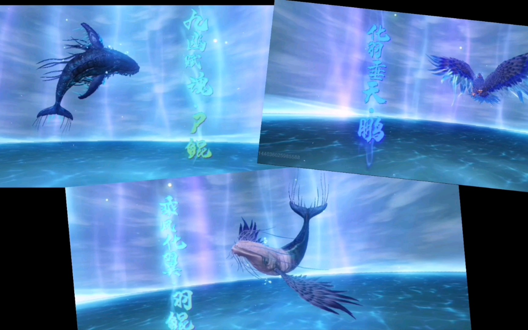 鲲究极进化三种形态动画展示