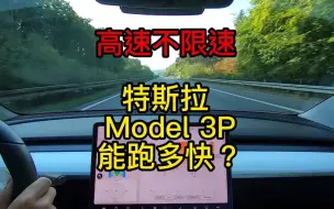 Video herunterladen: 德国高速不限速，特斯拉 Model 3P 能跑多快？