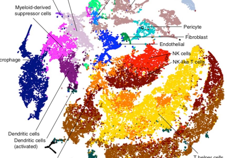 [图]肿瘤多组学+肿瘤单细胞测序文献精读分享