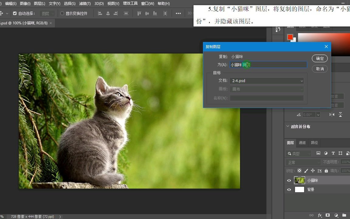 Photoshop 国际认证考试ACA强化练习9哔哩哔哩bilibili