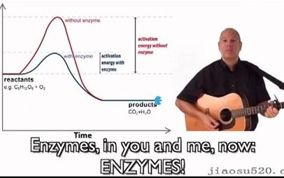 有趣的酶之歌 (Enzymes)哔哩哔哩bilibili