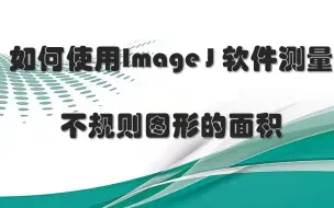 Download Video: 【科研必备imageJ】测量物体长宽高、面积