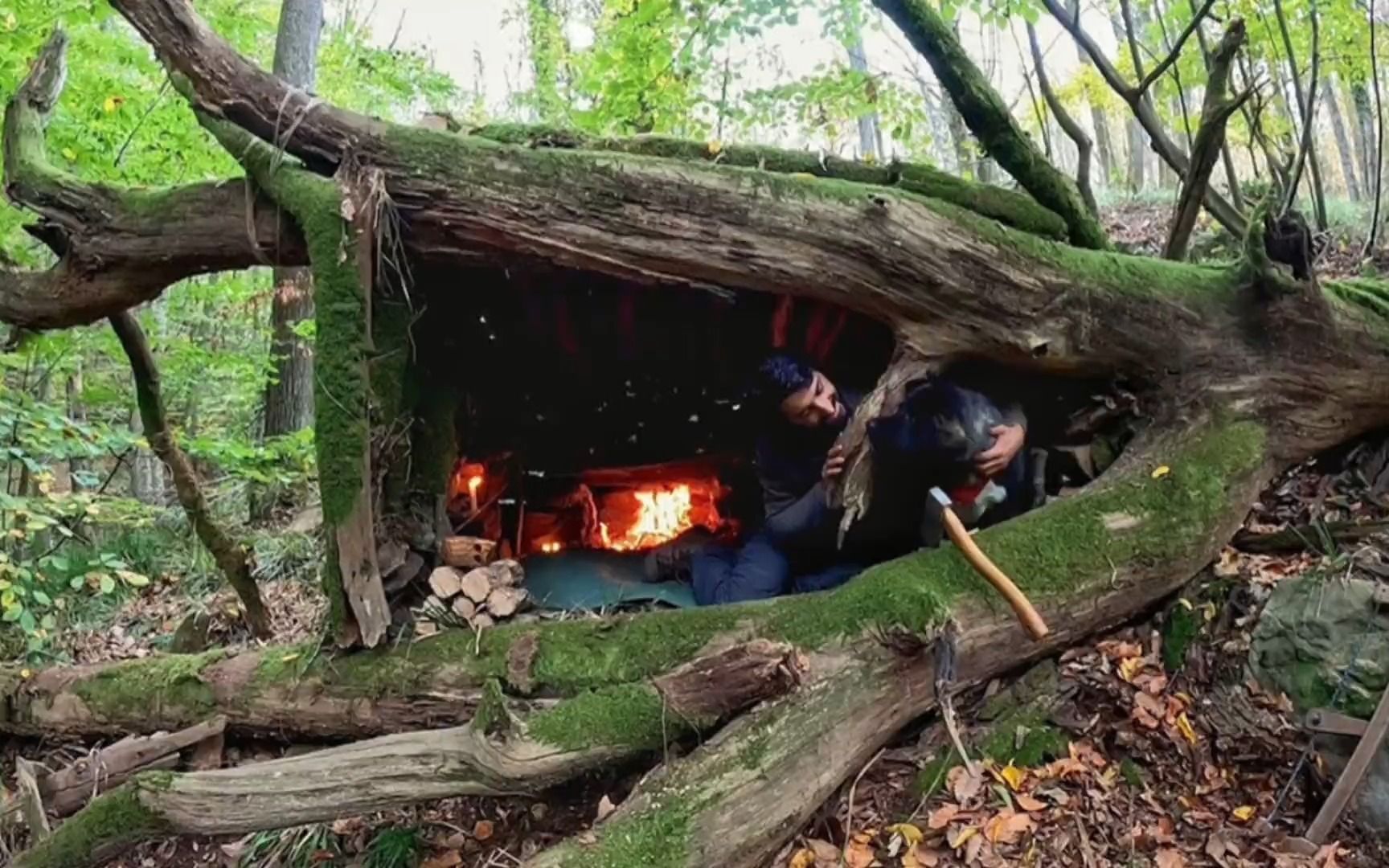 野外生存:一人一狗在倒伏大树旁搭建岩石庇护所,窝里取暖!