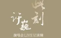 [图]最好听版许巍 《在别处》（live 2014.01.18 郑州站“此时此刻”巡演）