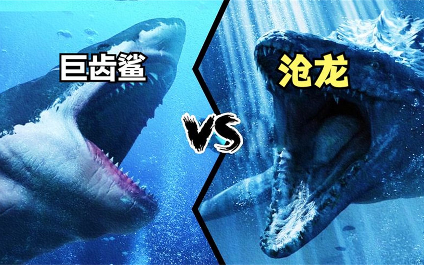 巨齿鲨vs沧龙,史上最强咬合力的巨齿鲨,能将沧龙轻松拿下吗?
