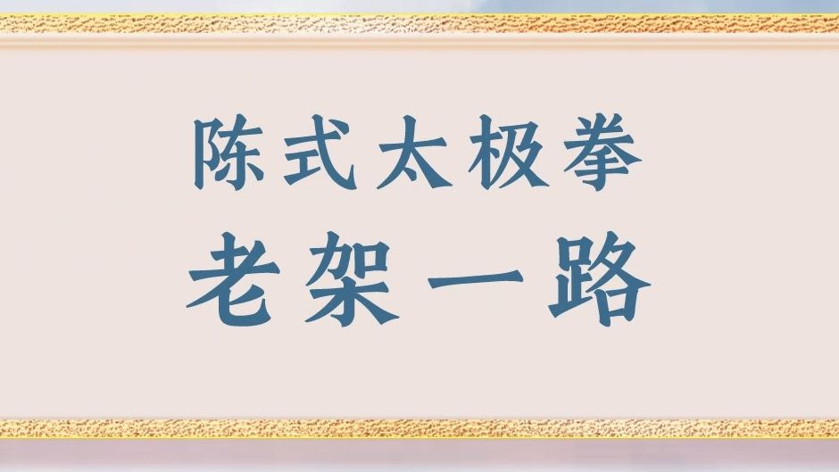 張東武·陳式太極拳老架一路·正面演練