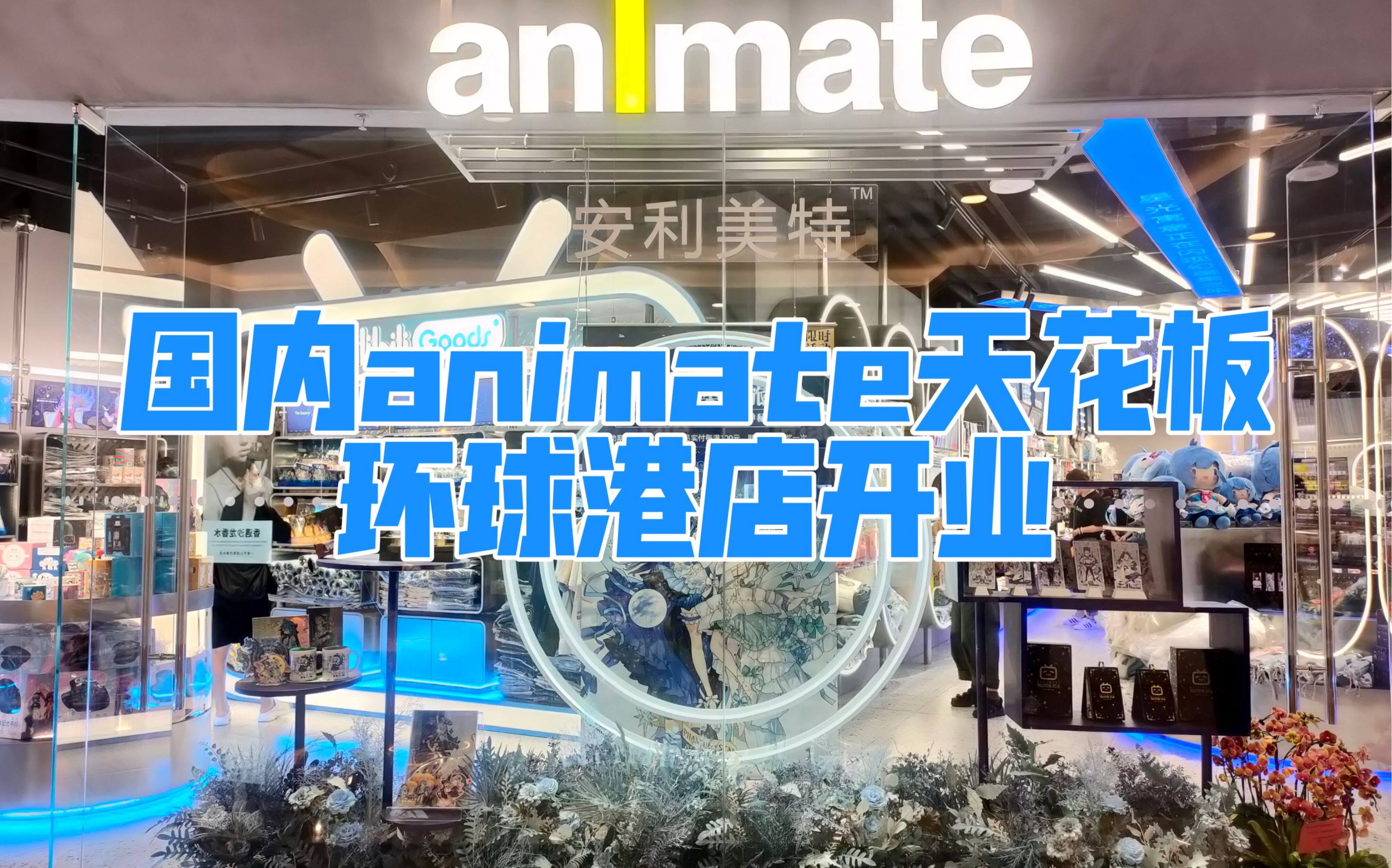 【环球港animate】国内a店天花板 快速一览哔哩哔哩bilibili