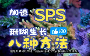 Download Video: Abe大神分享：加速SPS珊瑚生长的8种方法