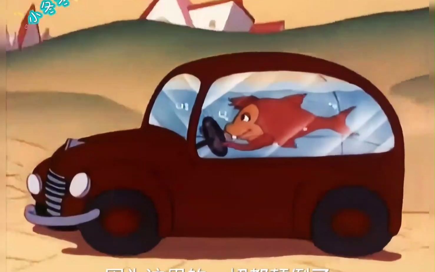 疯狂小镇有多疯狂,动物活得像人,人却活得像个动物