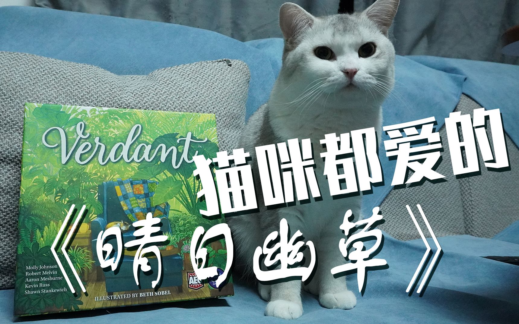 【桌游讲解】猫咪都爱玩的《Verdant晴日幽草》桌游规则讲解