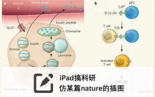 下载视频: ipad科研画图 徒手模仿nature插图