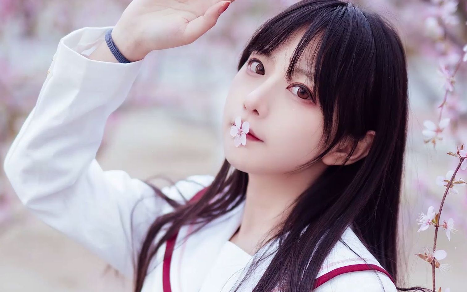 美女cosershika小鹿鹿在樱花树下