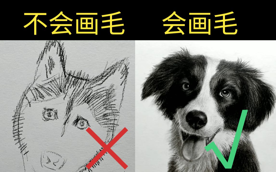 素描怎么画动物毛发?原来3步就搞定!零基础入门素描教程
