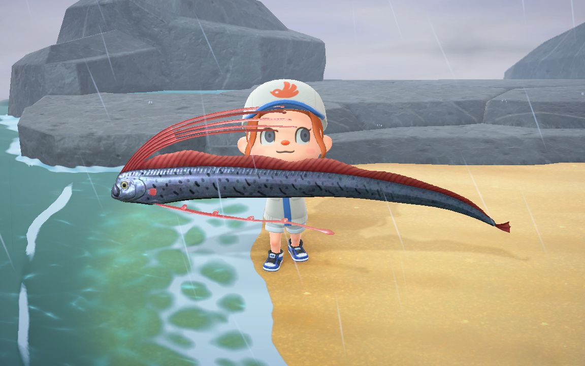 活动作品集合啦动物森友会从龙宫出来迎接的皇带鱼