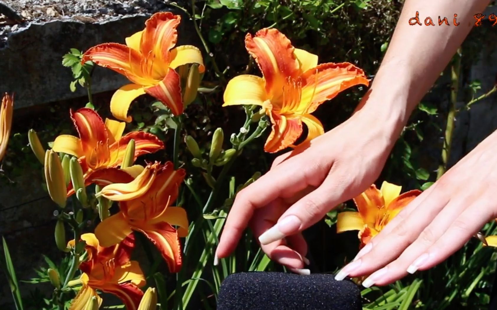 【手模/长指甲】dani 在大自然中触发|流水声|风声 超级舒服