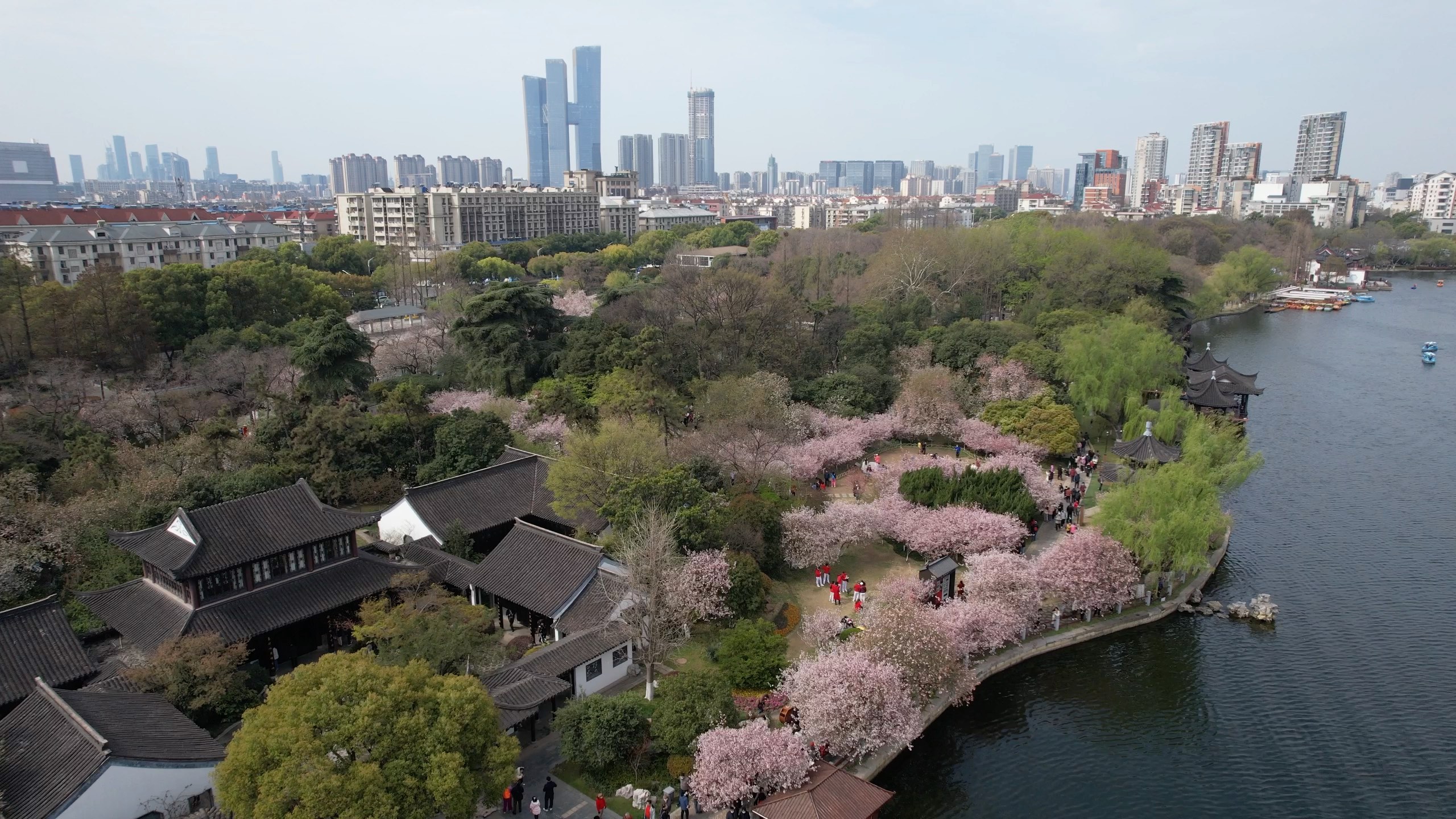 南京·莫愁湖·海棠