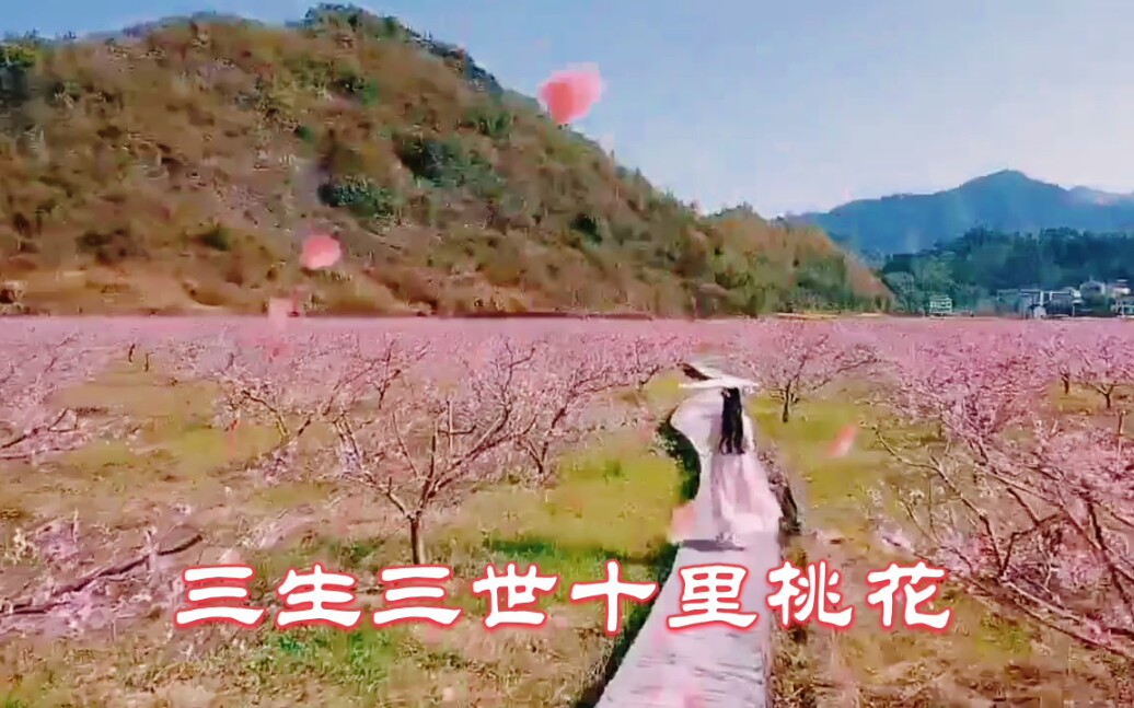 三生三世十里桃花有后续了哔哩哔哩bilibili