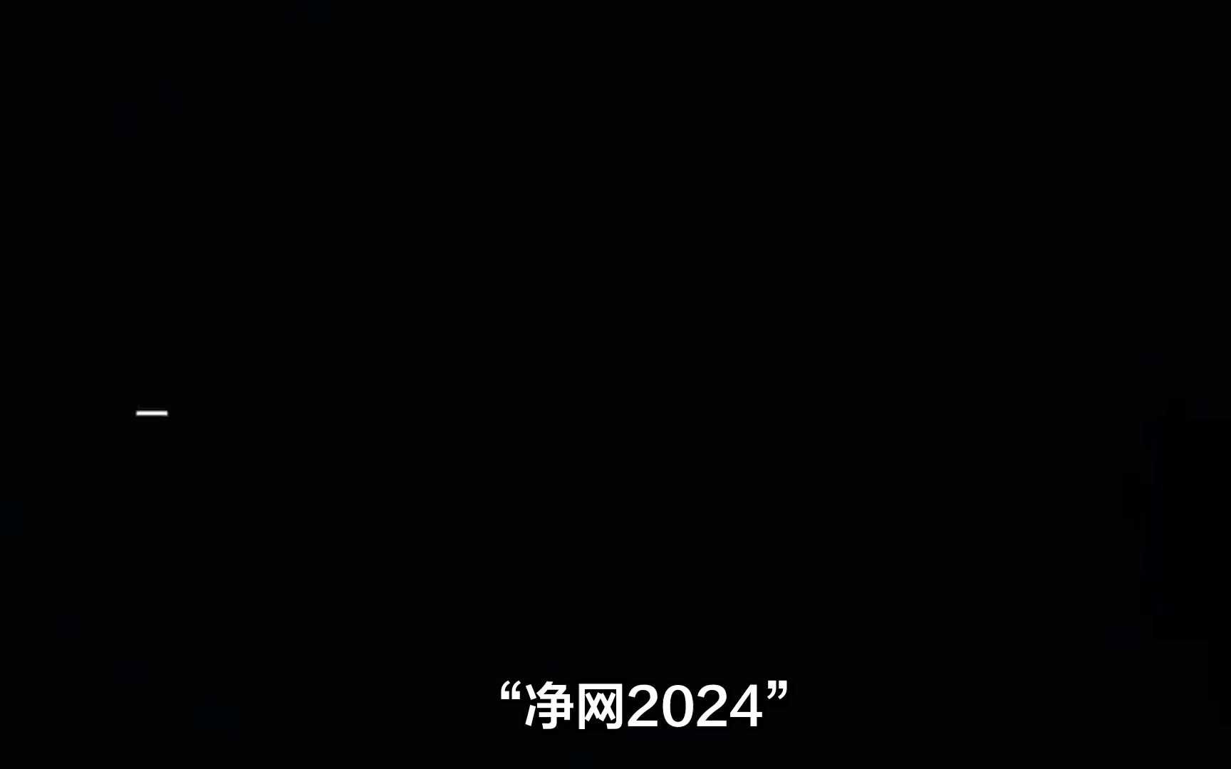 全国公安机关净网2024行动侦破网络犯罪11.9万起哔哩哔哩bilibili