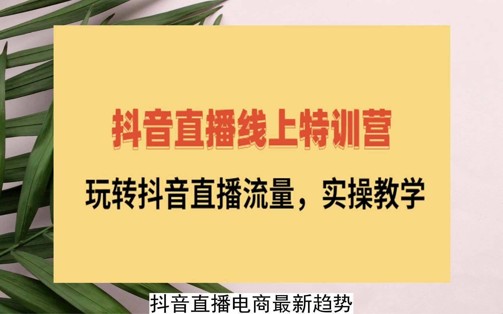 2023-抖音直播线上特训营:玩转抖音直播流量,实操教学