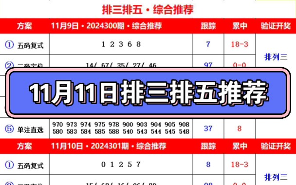 11月11日排三排五推荐哔哩哔哩bilibili