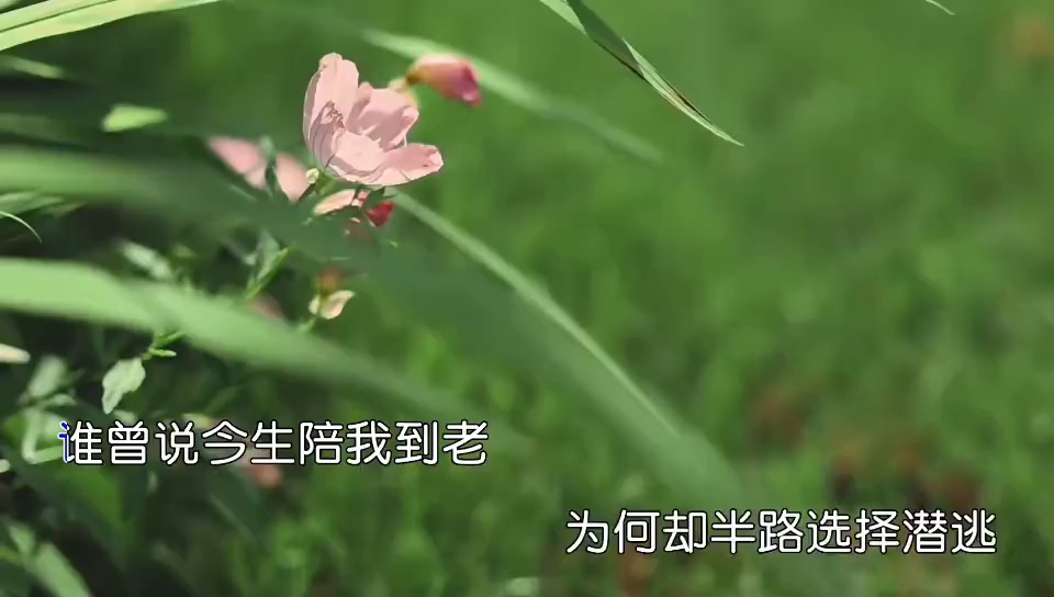 [图]李英《痴情可笑》错爱是一杯断肠的毒药~