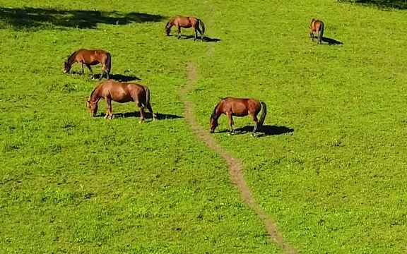 [图]【风景】休闲赏月、或寄情山水~