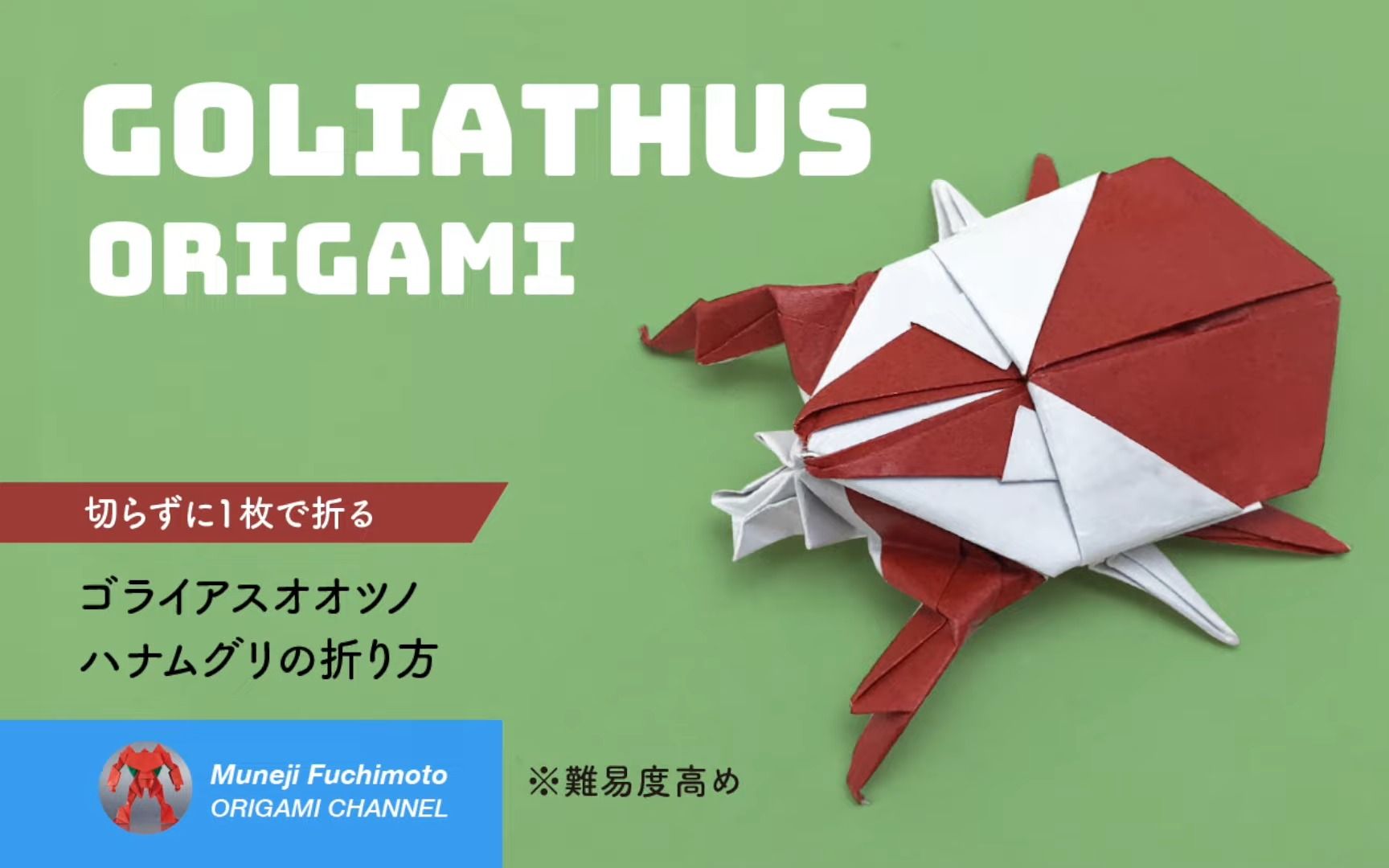 【muneji fuchimoto】大王花金龟折纸教程「折り紙」ゴライアスオオツ
