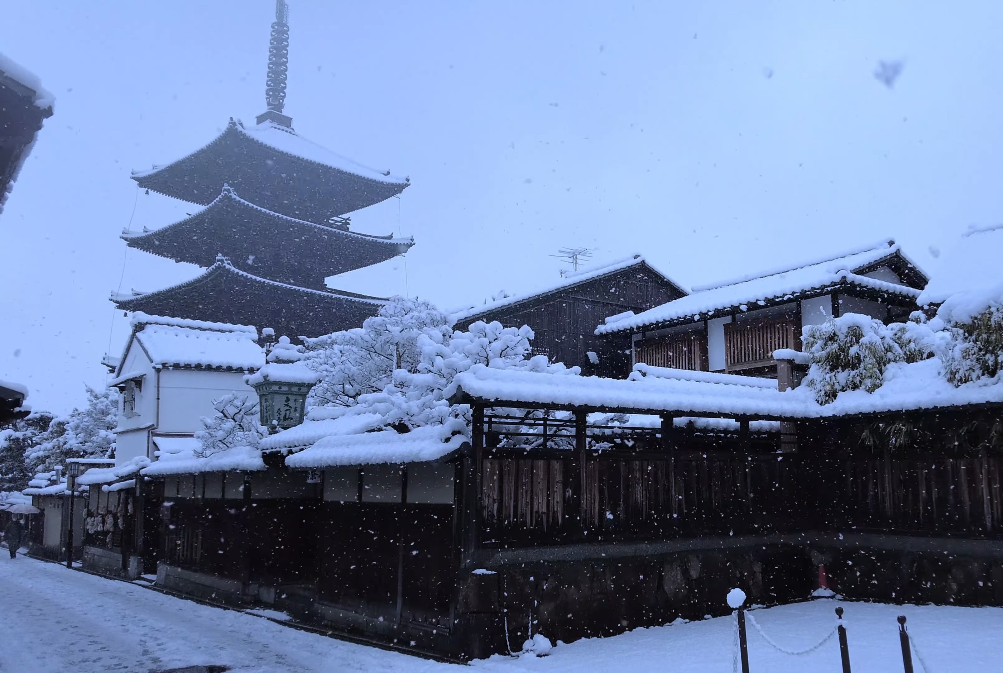 【京都雪景】4K高清・昨年京都雪景12选 | 期待今年的白色世界 ❄️哔哩哔哩bilibili