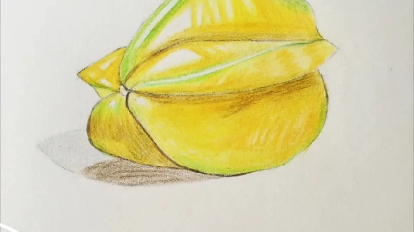 今日份杨桃素描以及上色