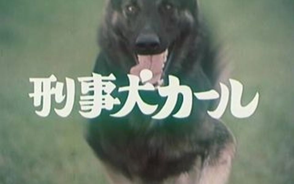 警犬卡尔 B站