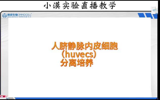 huvec人脐静脉内皮细胞分离培养哔哩哔哩bilibili