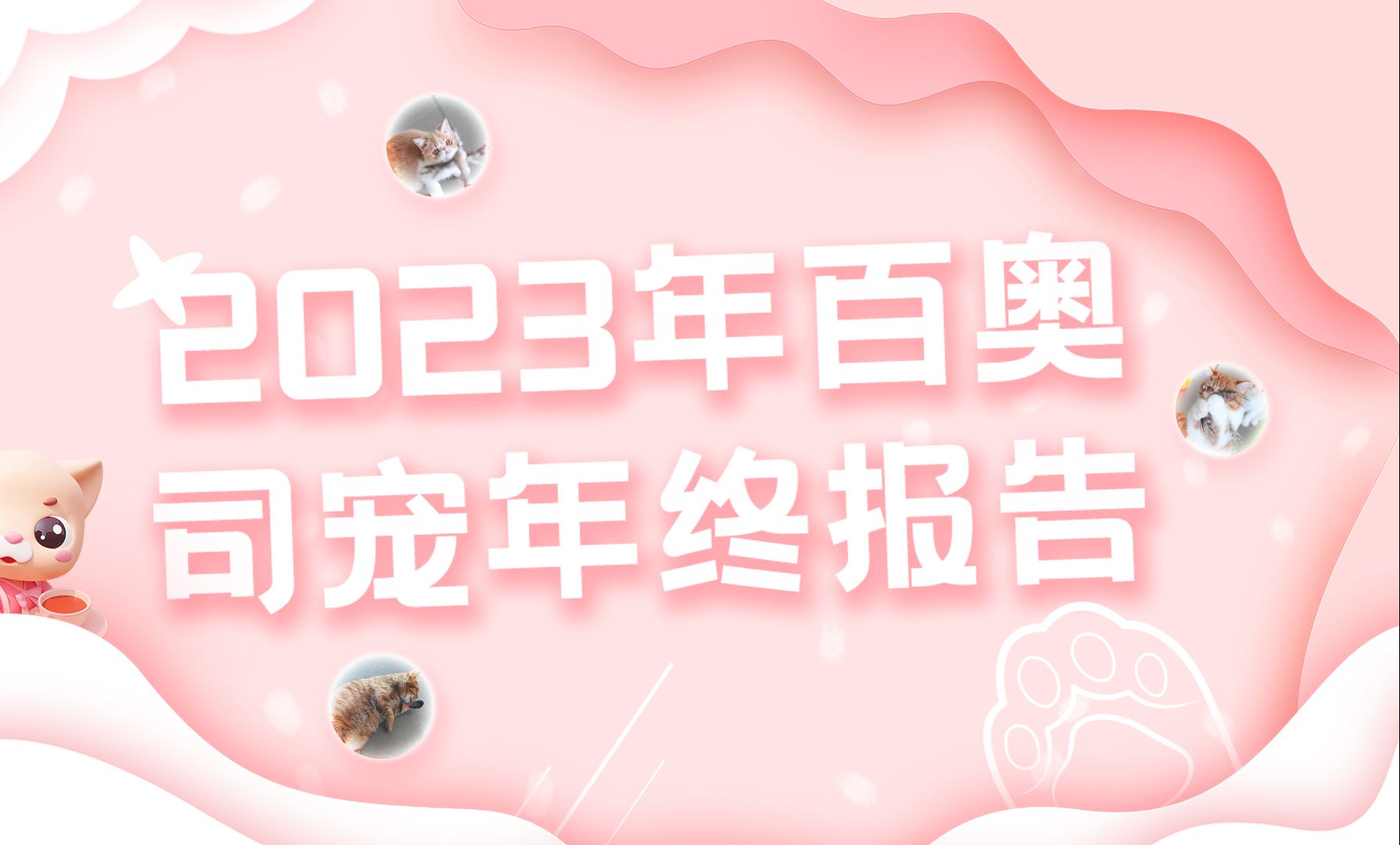 2023年百奥司宠年终报告哔哩哔哩bilibili