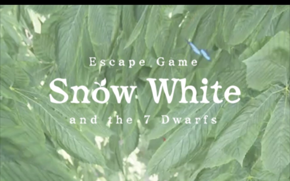 [图]【Escape game:snow white】逃脱游戏:白雪公主 攻略