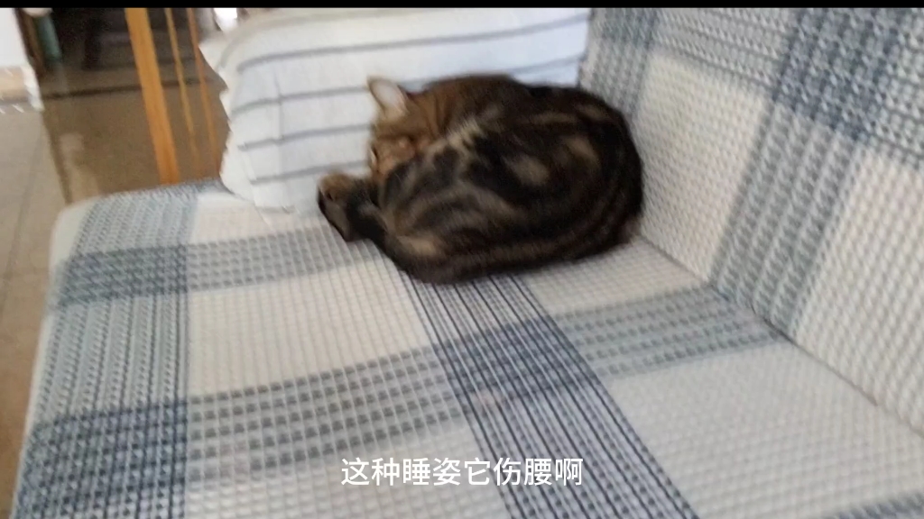 这炙热的爱哔哩哔哩bilibili