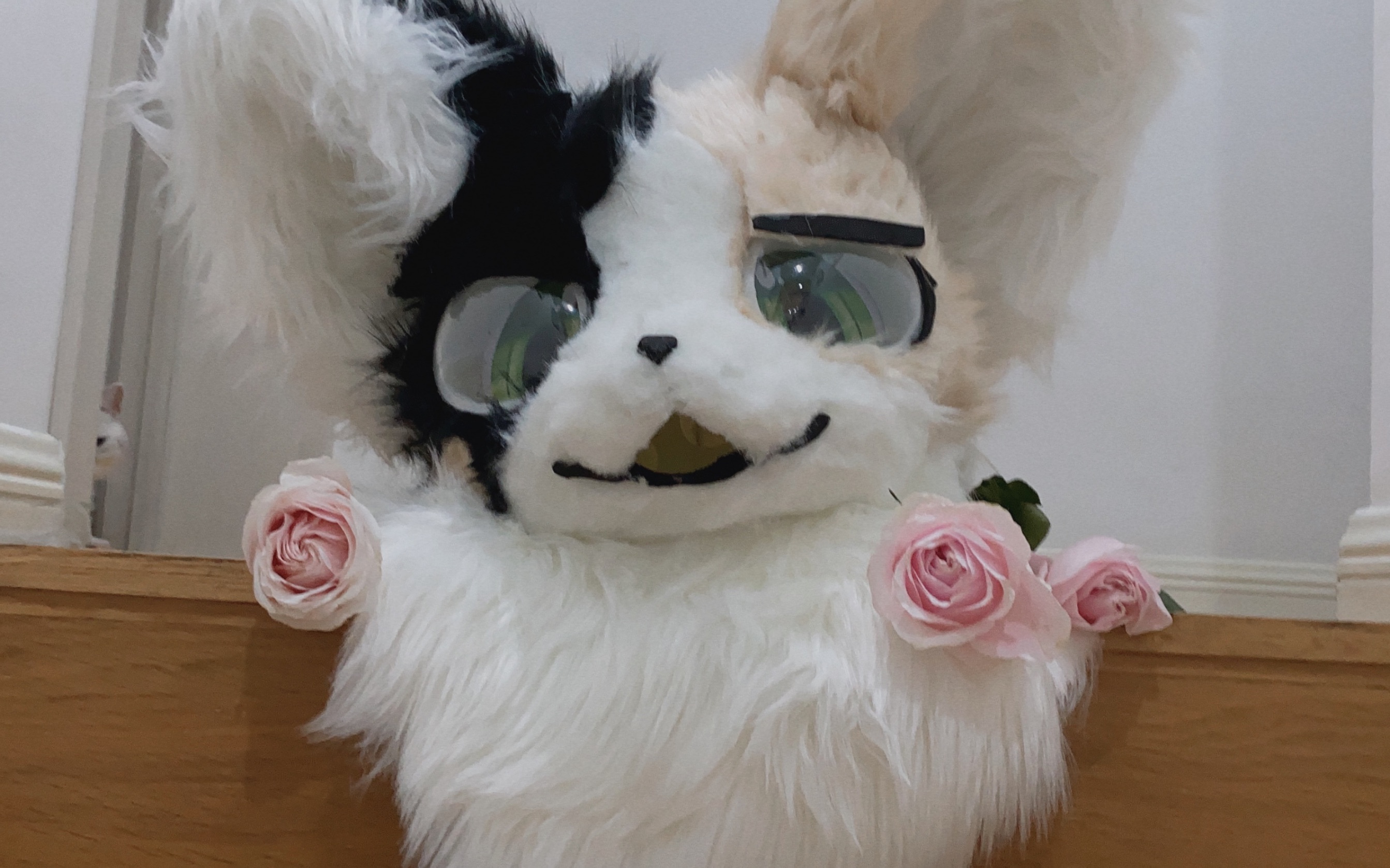 【兽装制作/fursuit】 三花猫兽装的制作过程 兽装展示_哔哩哔哩_bilibili