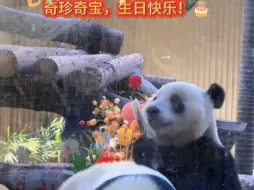 Download Video: 祝福大熊猫奇珍奇宝，3 岁 生日快乐！健康顺遂！她俩由开域集团认养。