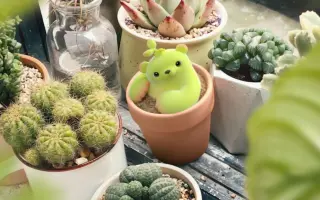 熊童子 搜索结果 哔哩哔哩 Bilibili