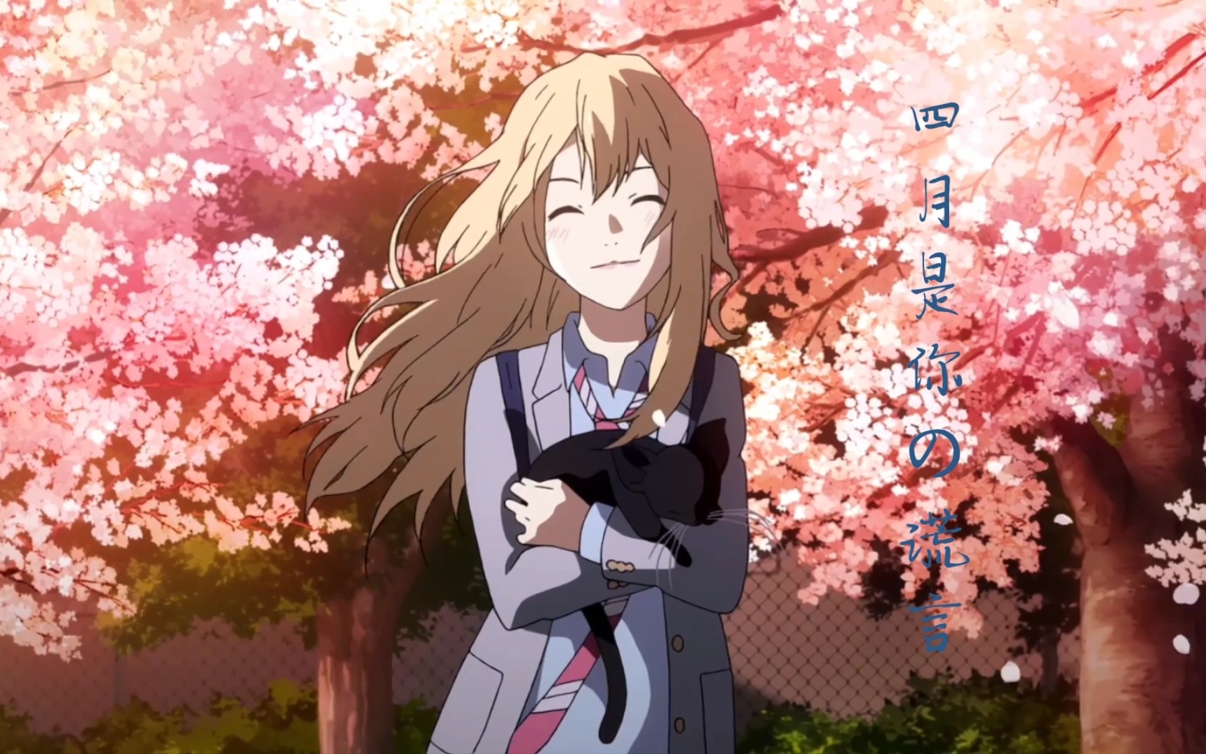 【四谎70 78】"我的爱人,和14年那场樱花雨葬在了一起…"