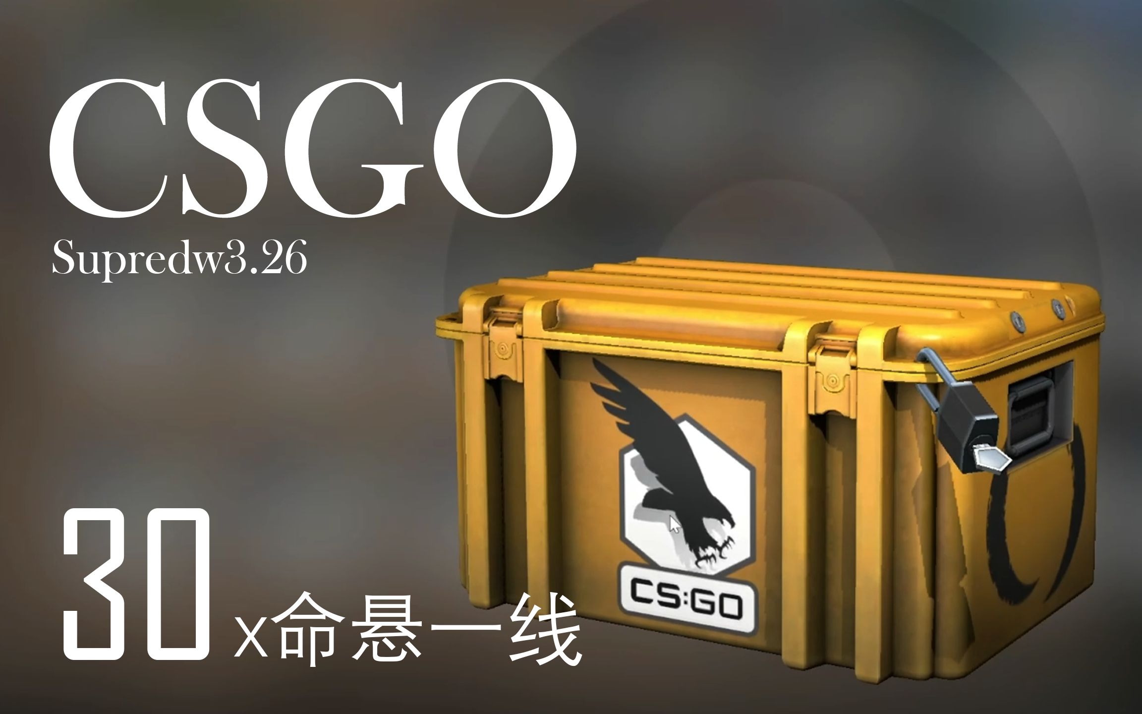 csgo开箱专用图图片