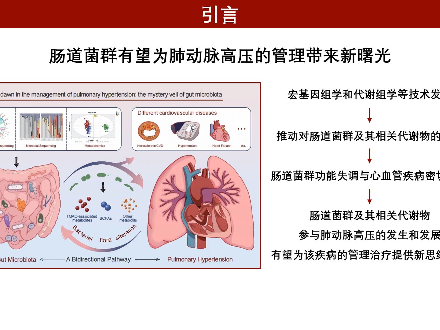 iMeta | 熊长明/杨跃进/郑乐民综述肠道菌群在肺动脉高压中的神秘面纱哔哩哔哩bilibili