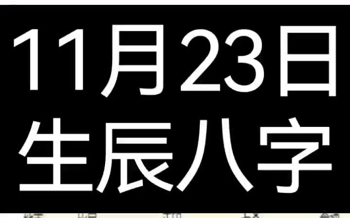 11月23日生辰八字哔哩哔哩bilibili